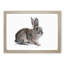 Brown Bunny Rabbit in Abstract - Picture Frame Painting Print-55681266-55681269