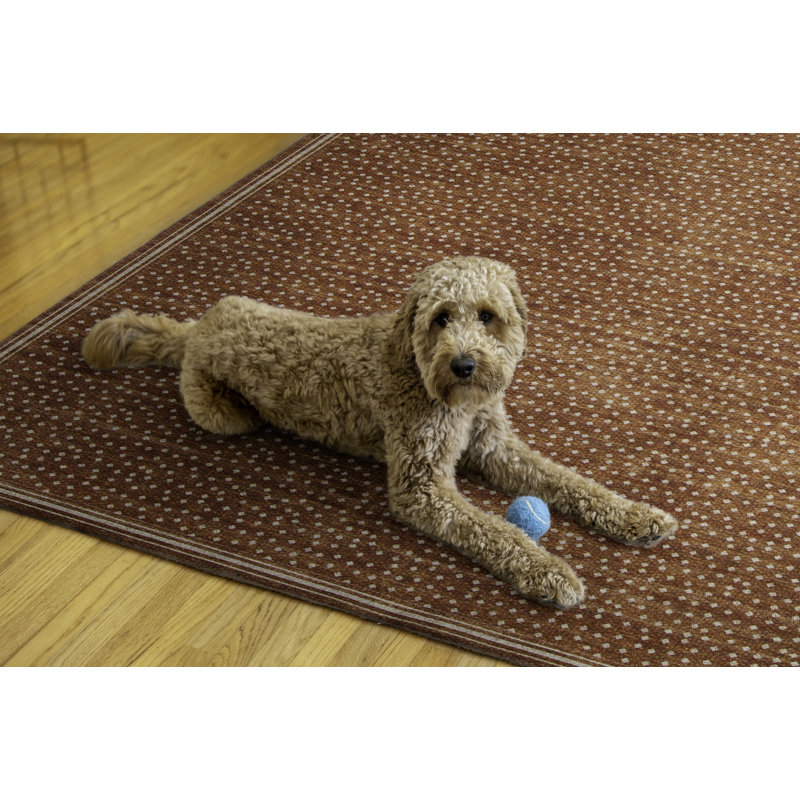 Maroske Rust and Ivory Indoor Outdoor Machine Washable Area Rug, Rectangle 7' x 9'