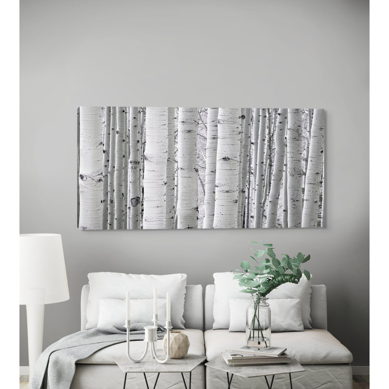 Toile tendue Aspen