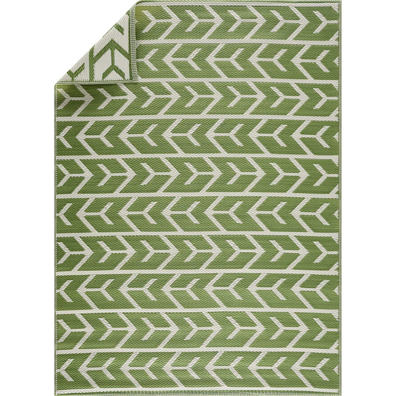 Tapis intérieur / extérieur vert / crème Allistir, Rectangle 8 pi x 10 pi