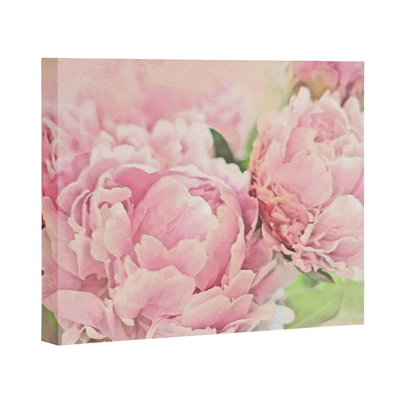 Rose pivoines, impression sur toile