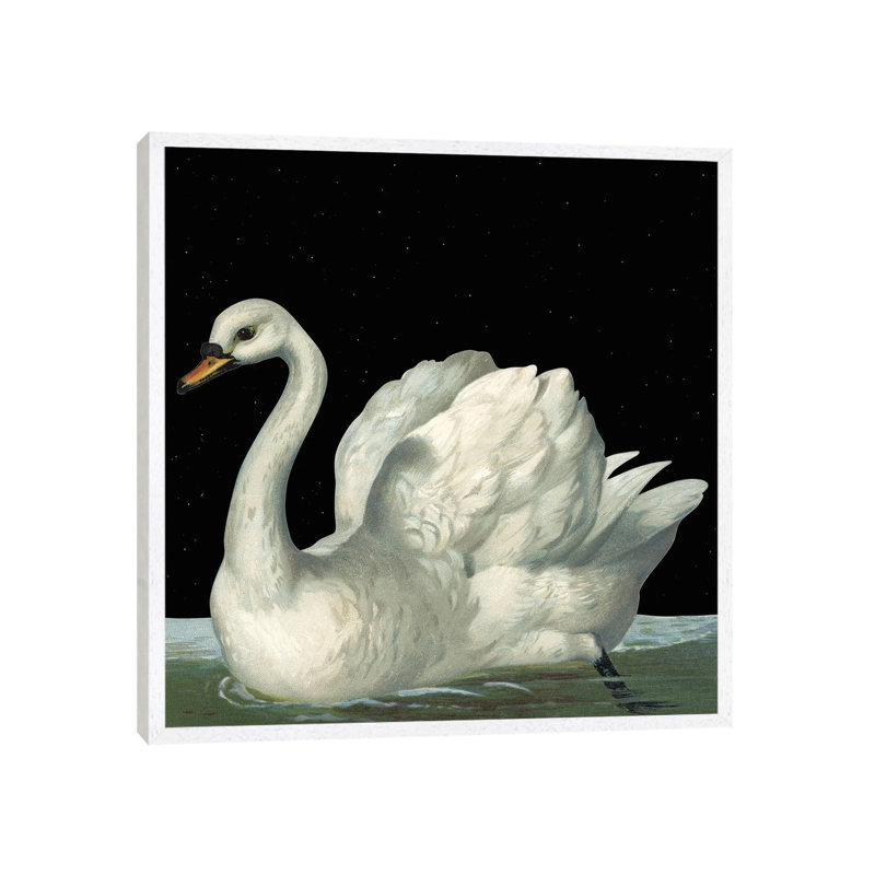 Swan In Night by Mirano - Painting on Canvas, 93.98cm H x 93.98cm W x 3.81cm D, White Framed