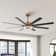 Broghen 65'' 8 - Blade Reversible Large Ceiling Fan with LED Lights and Remote Control