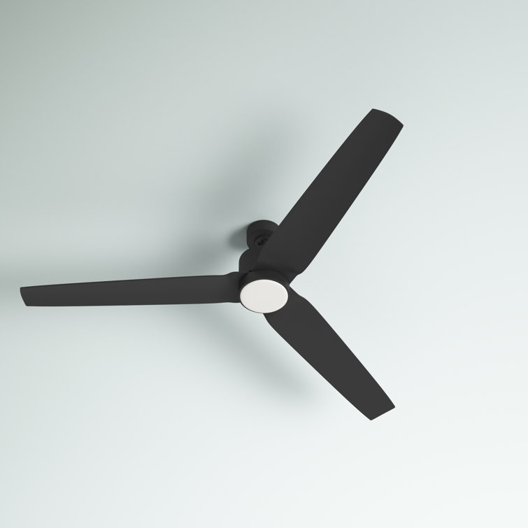 Ameeyah 52'' Ceiling Fan with LED Lights