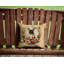 Coussin décoratif fauve bouledogue français et fleurs-909281332