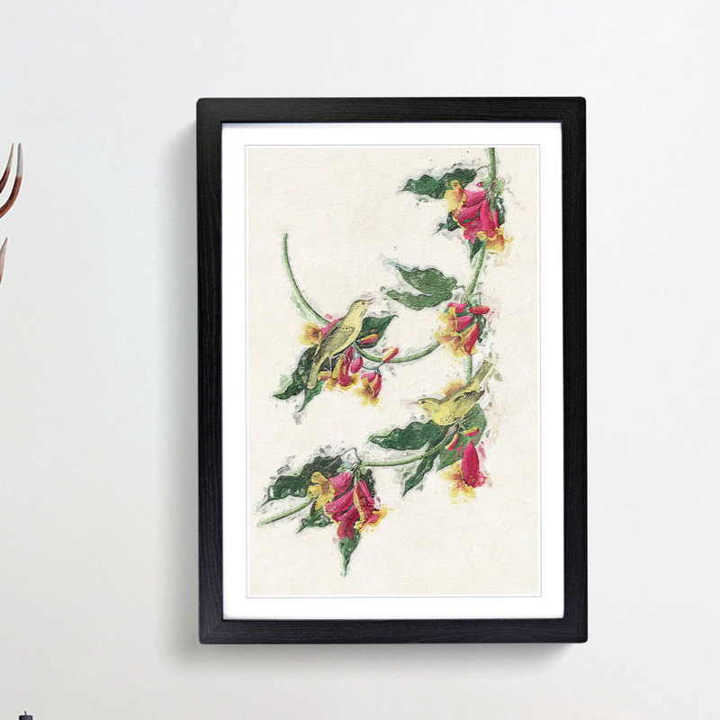 Rathbone Warbler Birds by John Audubon - Picture Frame Painting Print, 65cm H x 48cm W x 2cm D, Black Framed