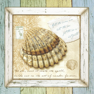 Sea Treasures V - Wrapped Canvas Print