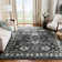 Lyniya Vintage Hamadan Performance Oriental Rug