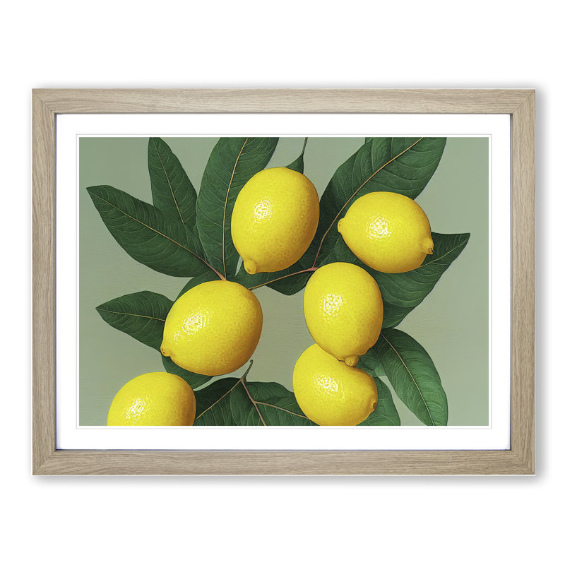 Citrus Fruit Lemons Vol.2 - Framed Print, 25cm H x 34cm W x 2cm D, Oak