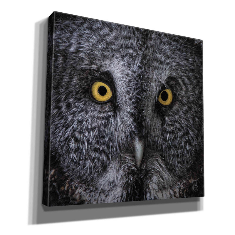 «Great Grey Owl» par Nathan Larson, art mural sur toile, H 12 po x l 12 po x P 0,75 po