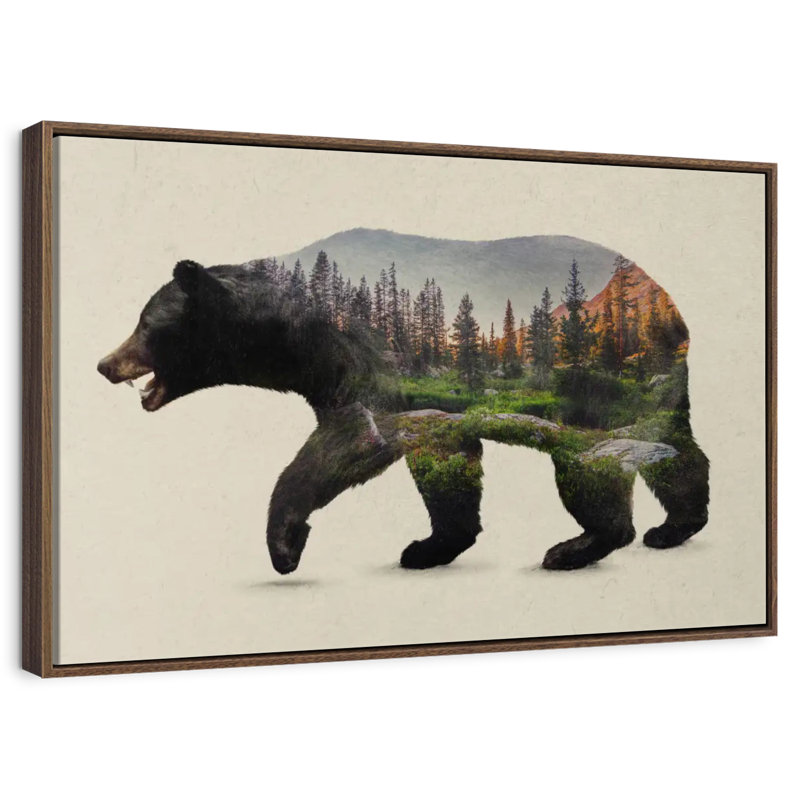 L'ours noir nord-américain, Cadre flottant en noyer, 31 po x 21 po