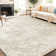 Machine Tufted Shag Area Rug
