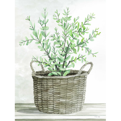 " Eucalyptus Basket "