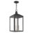 Inniss 3 - Light Outdoor Hanging Lights-34439997-34439996