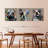 " Bulldogs " 3 - Pieces-449099665