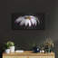 Mercer41 «Pink Osteospurmum on Black Panoramic» par Tom Quartermaine, art mural en métal-720996469