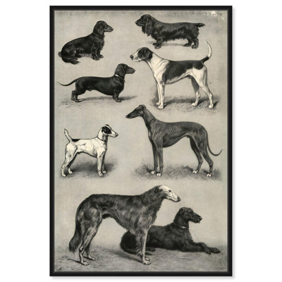 Generations of Dogs I Canvas Animal Line Art by Art Remedy