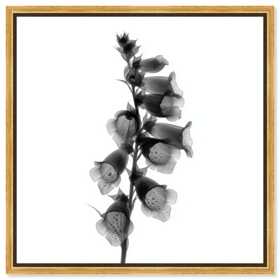 Ossified Petals II Print by Oliver Gal