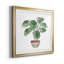 Boho Greenery II - peinture encadrée-171494725-171494726