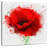 Harnek Red Poppy Splash-109216011