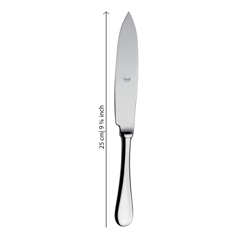 Stainless Steel Serving Spoon