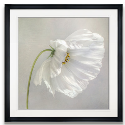 «Daisy Détail II», reproduction d'art encadrée