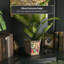 Flower Decorative Bowl