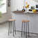 Pyatt Counter Stool with Metal Frame