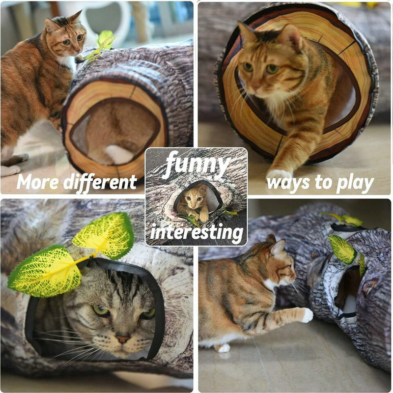 Arbre à chat 