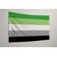 Drapeau de la fierté aromatique - Drapeau