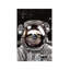 « astronaute sloth selfie », art-49839848-49839865