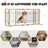 Dionicio Retractable Dog Gate
