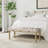 Shikera Upholstered Bench-1147864763