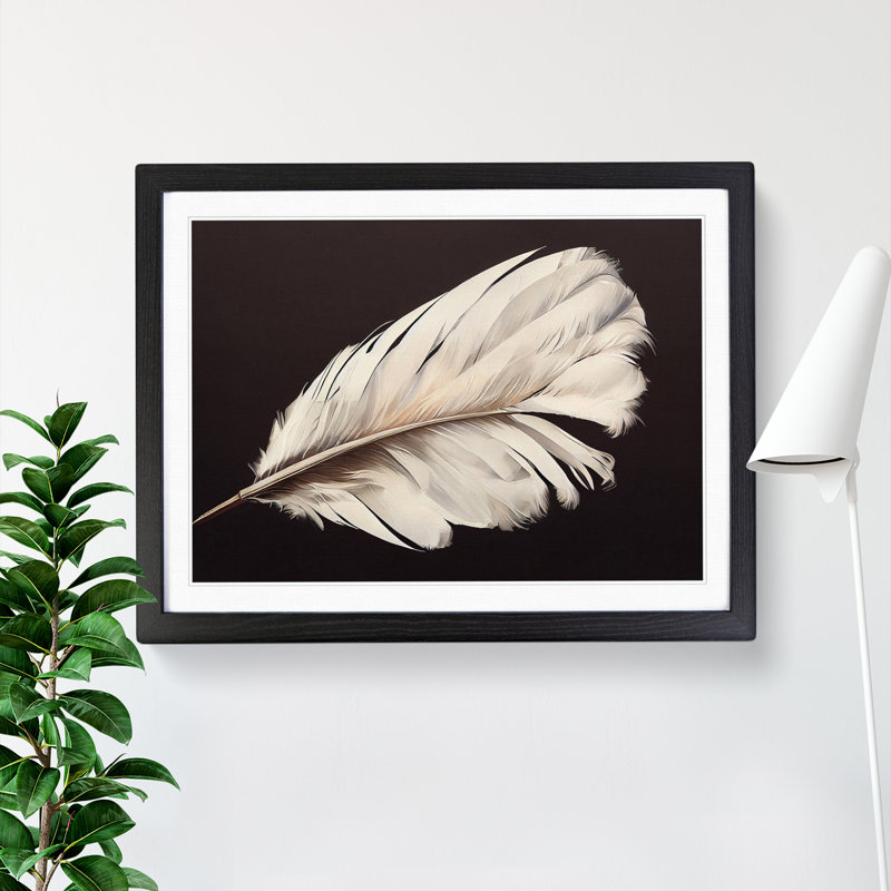 Bird Feather - Single Picture Frame Print, 46cm H x 64cm W x 2cm D, Black Framed