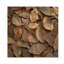 «Brown Sable Leaves III», art mural sur bois de feuilles - sur bois de pin naturel-2040155156