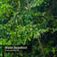 Rideau de douche Streaming Waterfall Erawan-2080470404