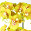 Real Touch Artificial Orchids Plastic, Silk Artificial Arrangement in Planter-88685030