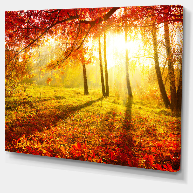 " Yellow Red Fall Trees And Leaves ", 12" H x 20" W x 1" D, Wrapped Canvas