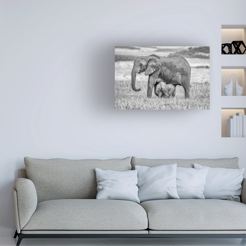 «Staying Close and Protfect» par Jeffrey C Sink - Photographie sur toile tendue, H 12 po x l 19 po x P 2 po