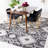 Daquavion Performance Oriental Rug-12573709