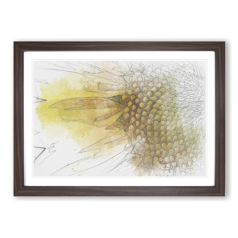 Petals of the Yellow Sunflower Sketch - Picture Frame Graphic Art Print, 36cm H x 48cm W x 2cm D, Walnut Framed