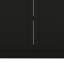 Armoire, deux tablettes noires