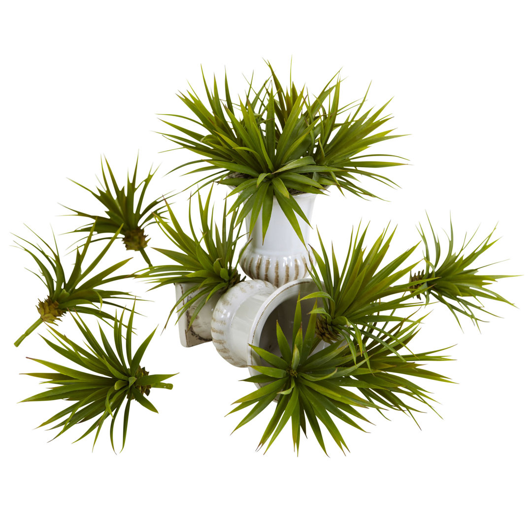 6'' Agave Plant (Set of 12) Primrue