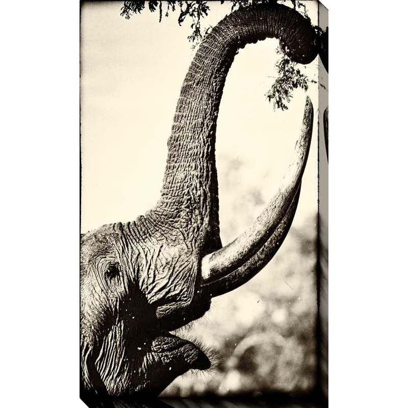 «Reaching High», reproduction de photo, H 30 po x l 18 po x P 1 po, Toile tendue