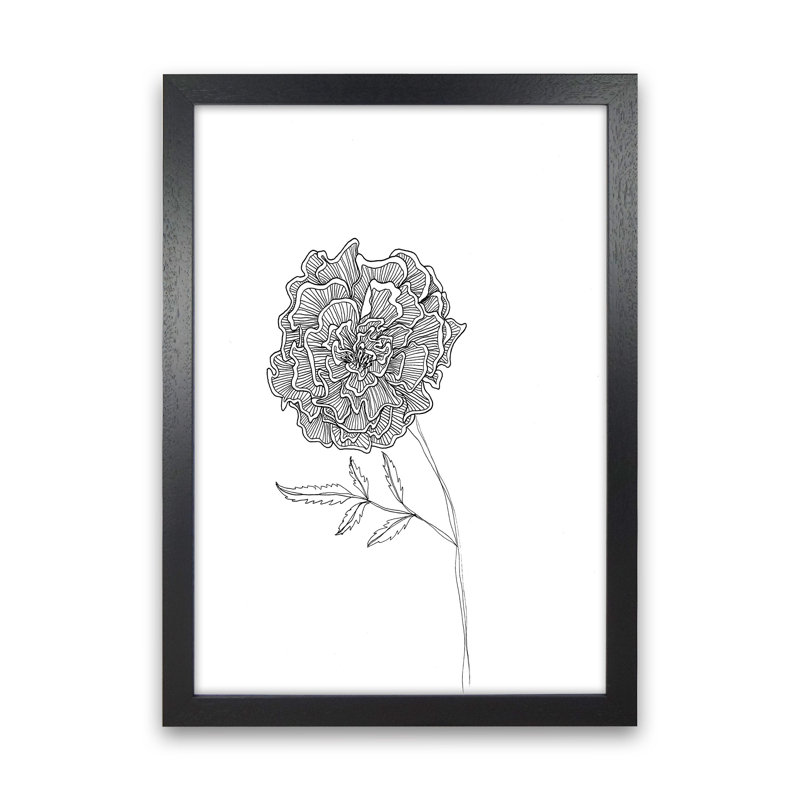 Marigold by Carissa Tanton - Print, Black Framed, 34cm H x 25cm W x 3cm D