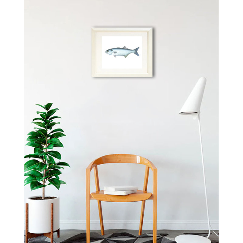 " Blue Fish " by Damon Crook, 16" H x 20" W x 1" D, White Framed Paper