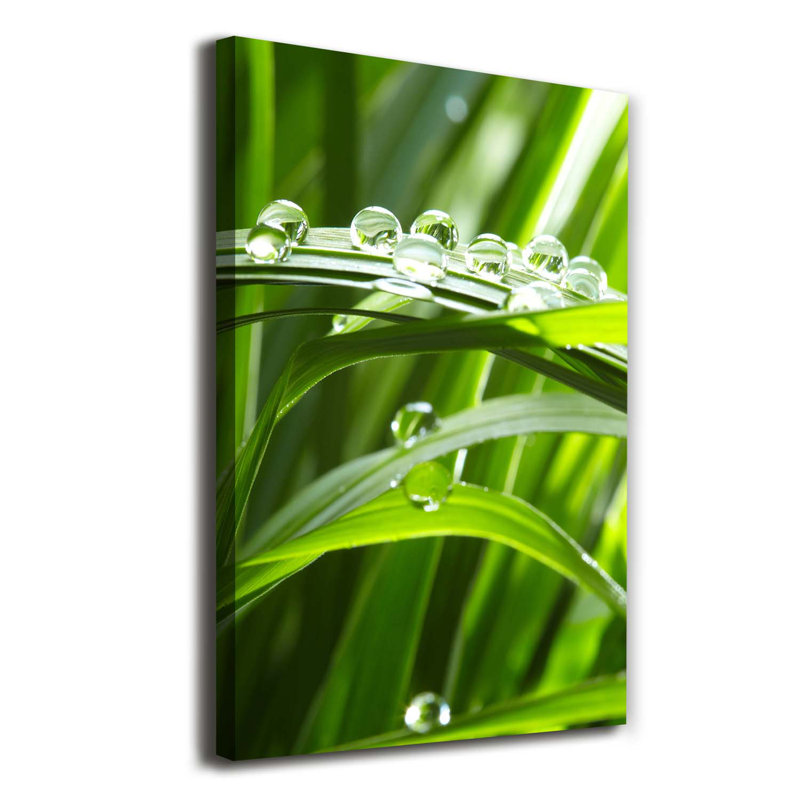 Blades Of Grass - Wrapped Canvas Print
