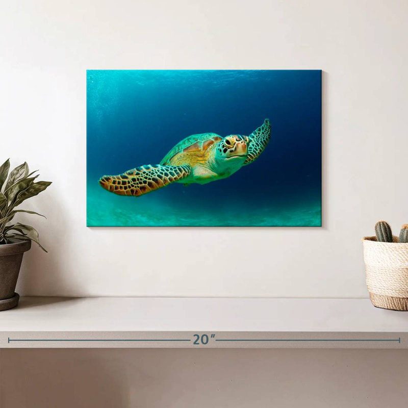Brampt Philippine Green Sea Turtle, 8" H x 12" W