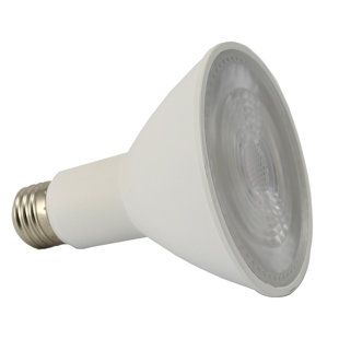 Sunlight2® Dim to Warm (Set of 4)