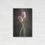«Spring Tulips V» par Debra Van Swearingen-1634549748